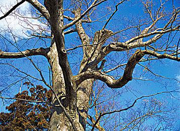 TGA 2023：《COCOON》荣获最佳首发独立游戏